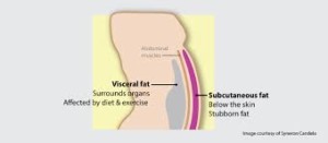 Visceraal vet is schadelijker dan onderhuids vet.