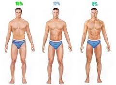 vet percentages diverse stadia sixpack trainen thuis