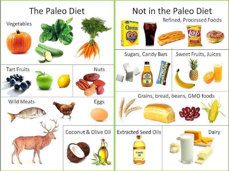 wat is een paleo dieet