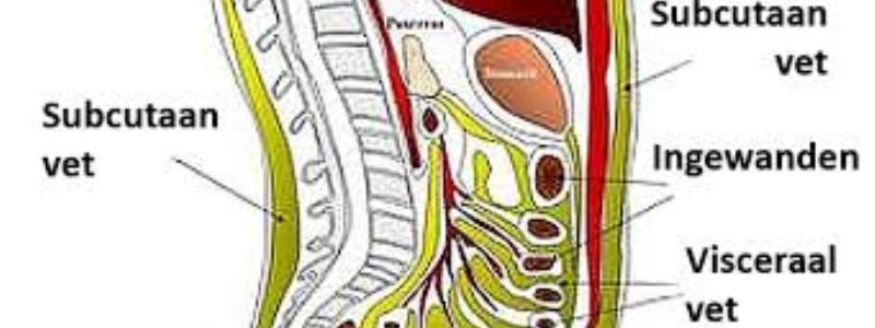 vet verbranden op je heupen en buik